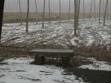 Tn DSC 0058